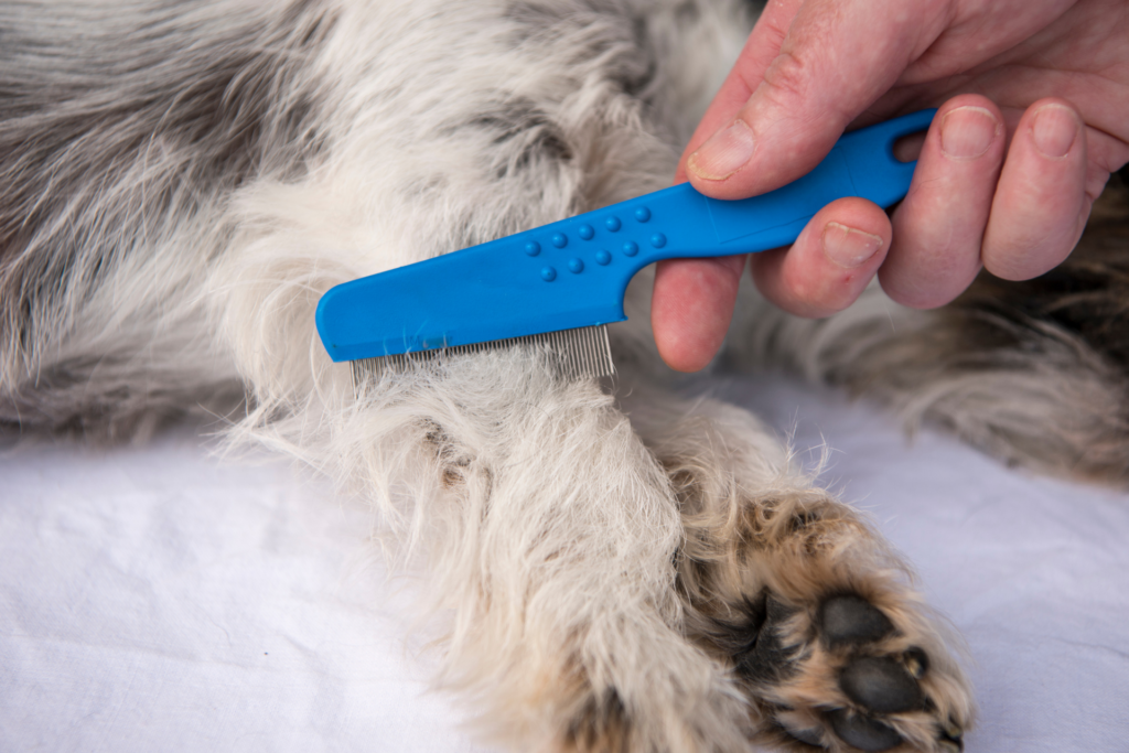 Flea Comb for Dogs