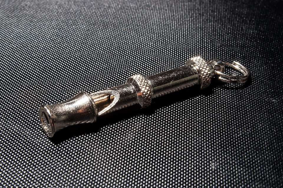 Dog Training Whistle