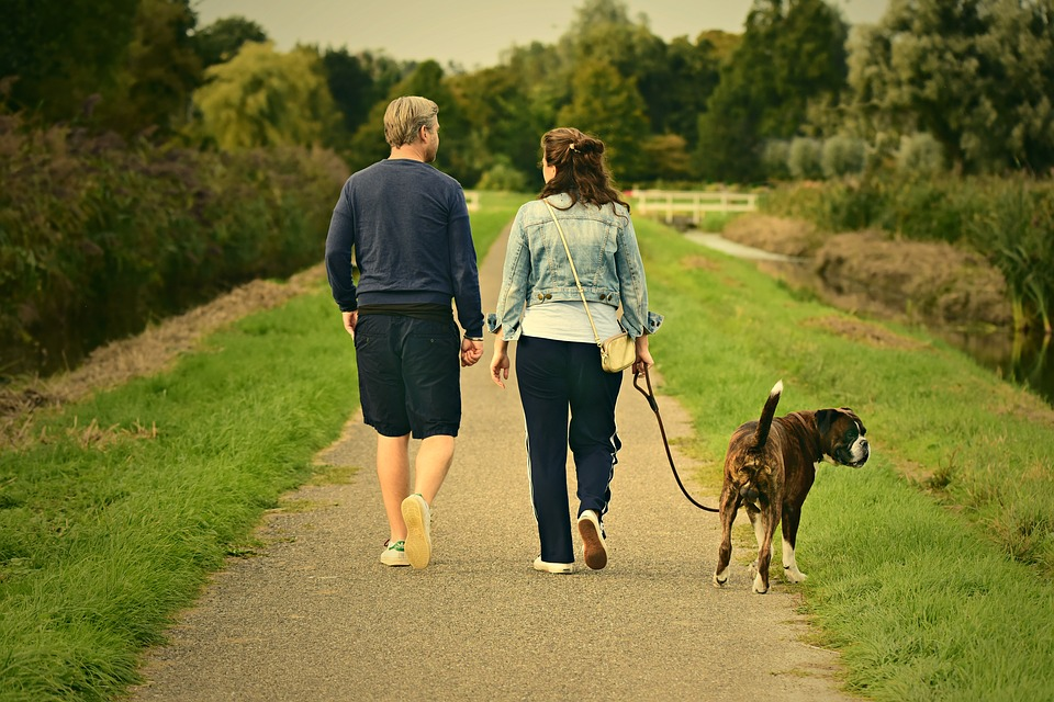 How To Train a Dog To Walk on a Leash Image of Couple Walking Boxer