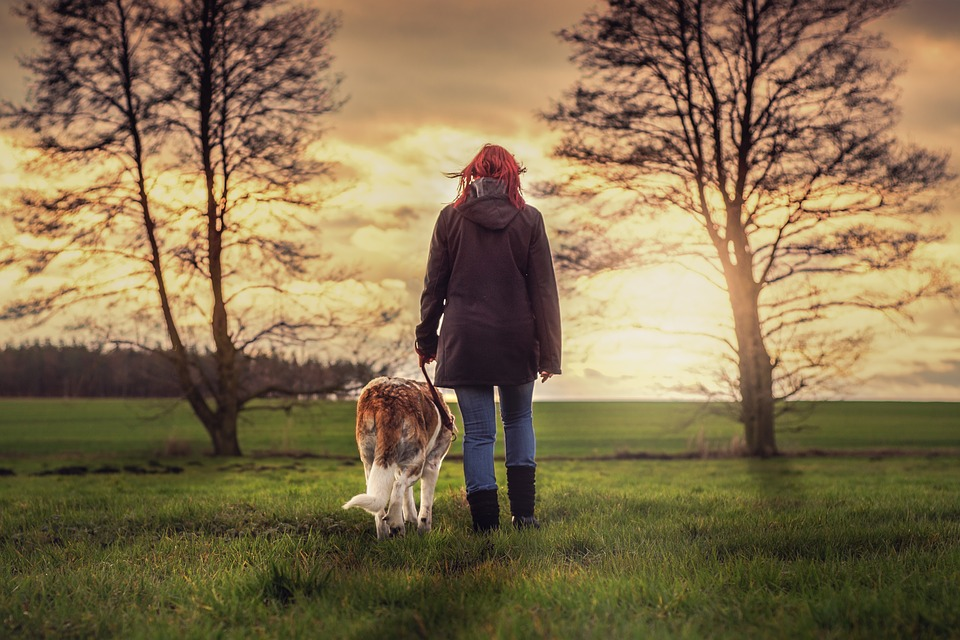Woman walking a large dog on a loose leash