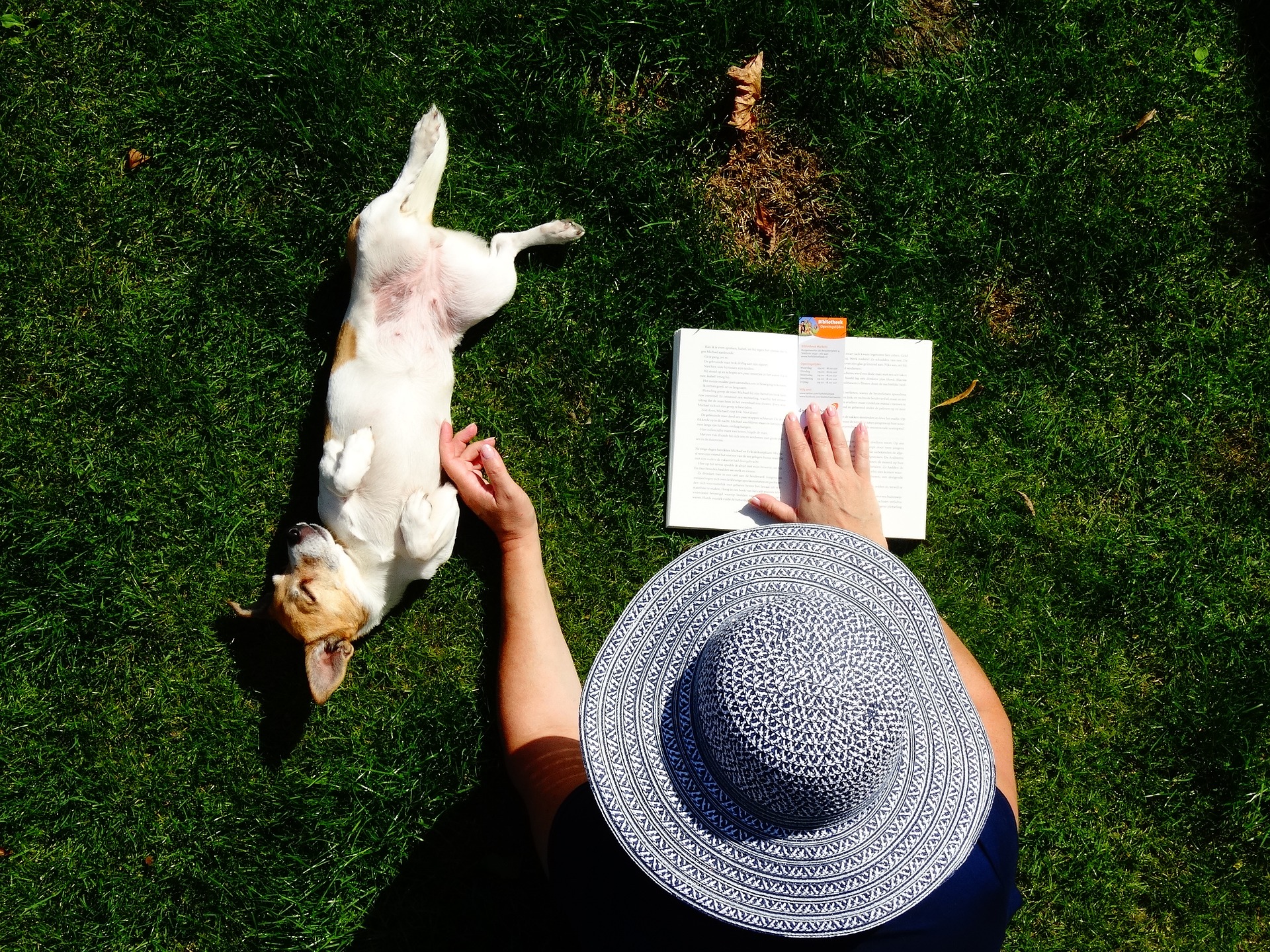 dog and owner reading